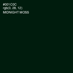 #001C0C - Midnight Moss Color Image
